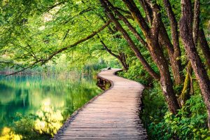 Plitvice pathways