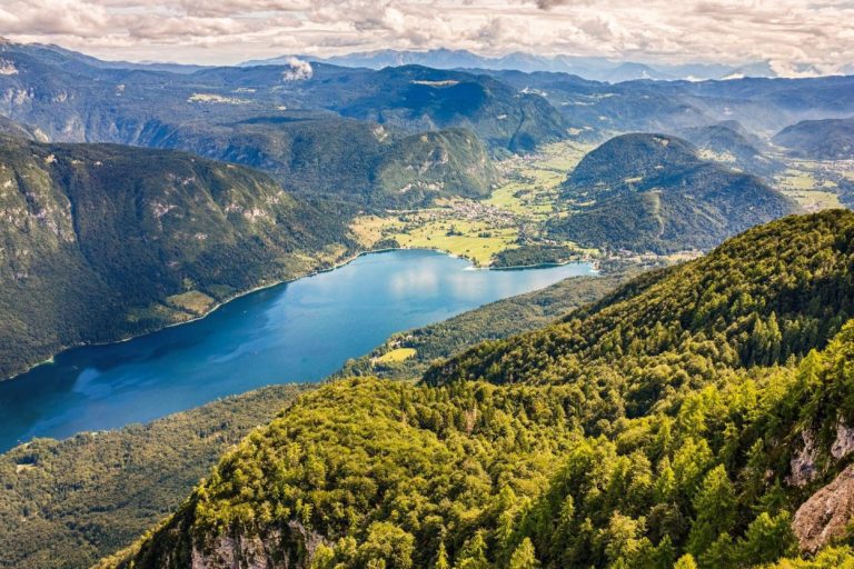 Vogel-Blick auf den Bohinjer See - skaliert-2